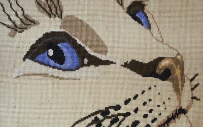 Eva Brent’s Cat Eye